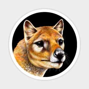 Tasmanian Tiger (Thylacine) Portrait Magnet